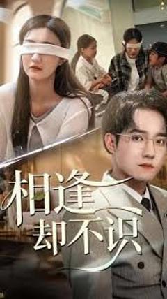 《相逢却不识》