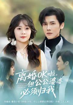 《离婚OK啦，但公公婆婆必须归我》