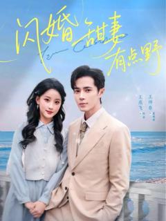 《闪婚甜妻有点野》