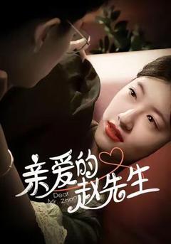 《亲爱的赵先生》