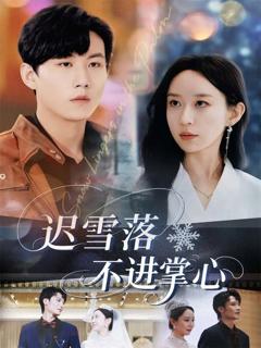 《迟雪落不进掌心》