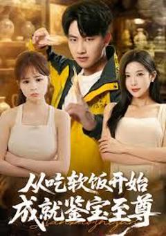 《从吃软饭开始成就鉴宝至尊》