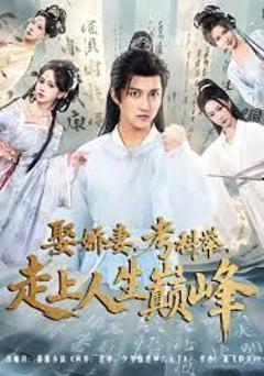 《娶娇妻，考科举，走上人生巅峰》