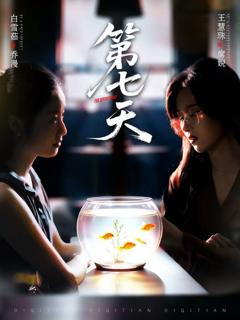 《第七天》