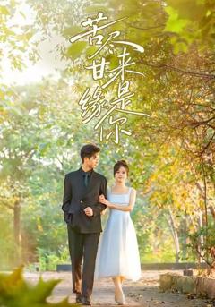 《苦尽甘来缘是你》