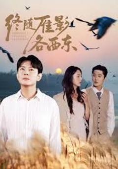 《终随雁影各西东》