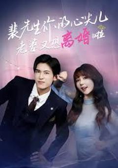 《裴先生你的心尖儿老婆又想离婚啦，裴先生的复婚攻略》