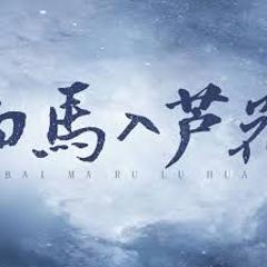 《白马入芦花》