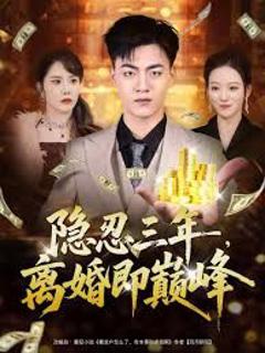 《隐忍三年，离婚即巅峰》