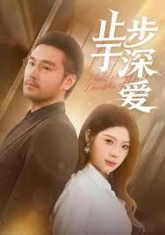 《止步于深爱》
