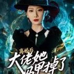 《离婚后，大佬她马甲掉了》