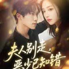 《夫人别走恶少已知错》