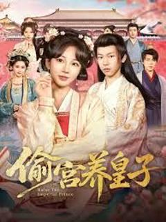 《偷宫养皇子》