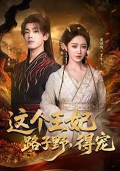 《这个王妃路子野，得宠》