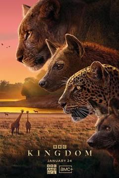 《动物王国2025》