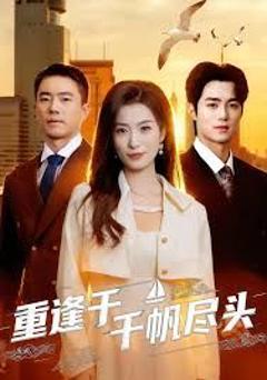 《重逢于千帆尽头》
