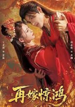《再嫁惊鸿》