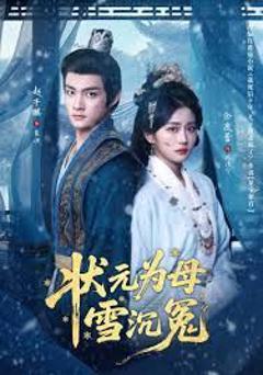 《状元为母雪沉冤》