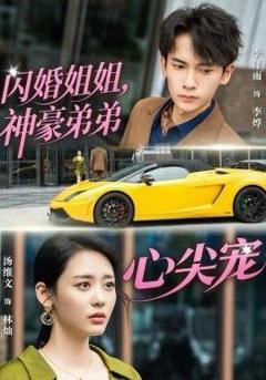 闪婚姐姐，神豪弟弟心尖宠