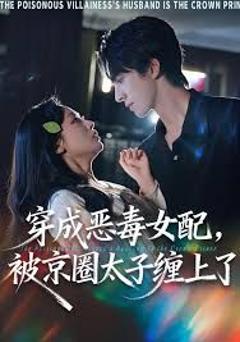 《穿成恶毒女配被京圈太子缠上了》