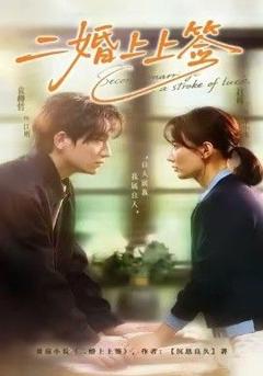 《二婚上上签》