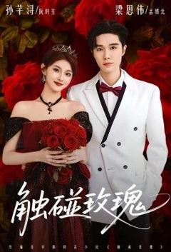 《触碰玫瑰（凌晨四点半，玫瑰花未眠）》