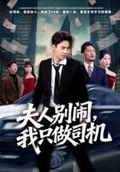 《夫人别闹我只做司机》