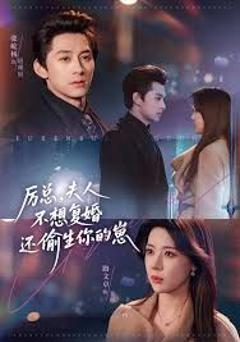《厉总，夫人不想复婚还偷生你的崽》