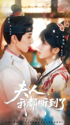 夫人，我都听到了，夫人每天都想被休