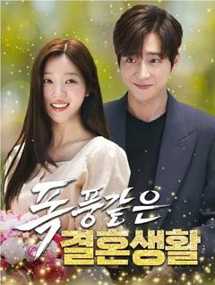 以爱为契（2025）