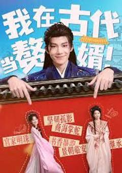 《我在古代当赘婿》