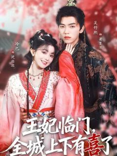 王妃临门全城上下有喜了
