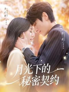 《月光下的秘密契约》