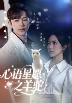 《心语星愿之羊驼》