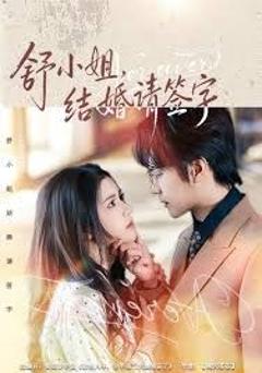 《舒小姐，结婚请签字》