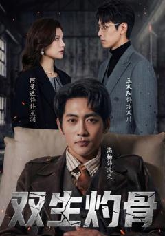 《双生灼骨》