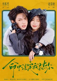 命中注定我怼你