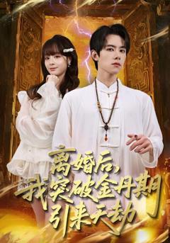 《离婚后，我突破金丹期，引来天劫》