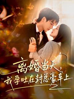 《离婚当天，我孕吐在封总豪车上》