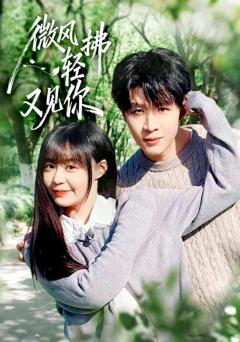 《微风轻拂又见你》