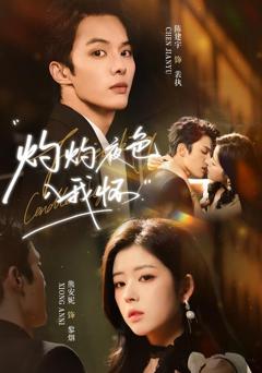 灼灼夜色入我怀