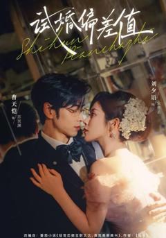 《试婚偏差值》