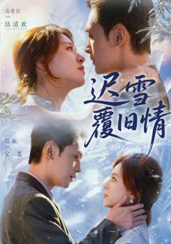 迟雪覆旧情