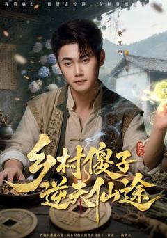 《乡村傻子逆天仙途》