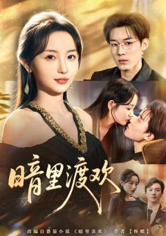 《暗里渡欢》