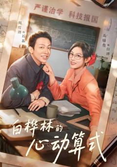 《白桦林的心动算式》