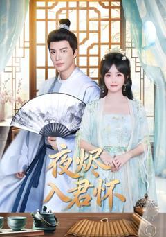 《夜烬入君怀》