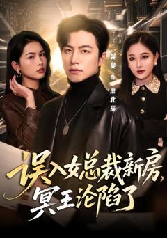 《误入女总裁新房，冥王沦陷了》