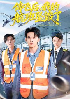 《停飞后，我的航班坠毁了》