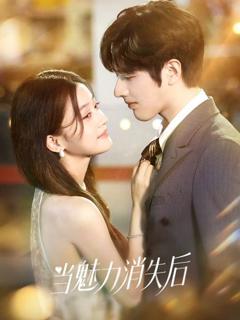 《当魅力消失后》